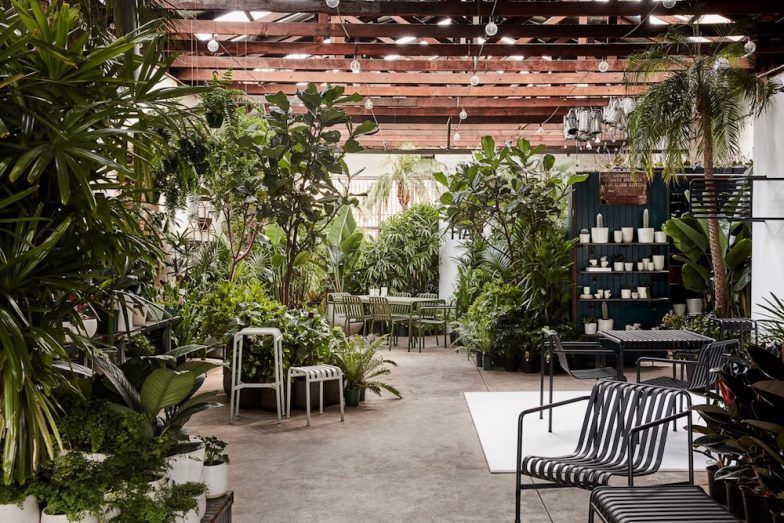 A green nursery full of plants morphs into an event venue by night