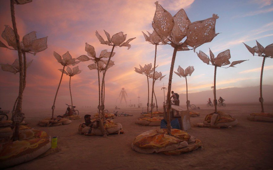 Pulse and Bloom Installation at Burning Man