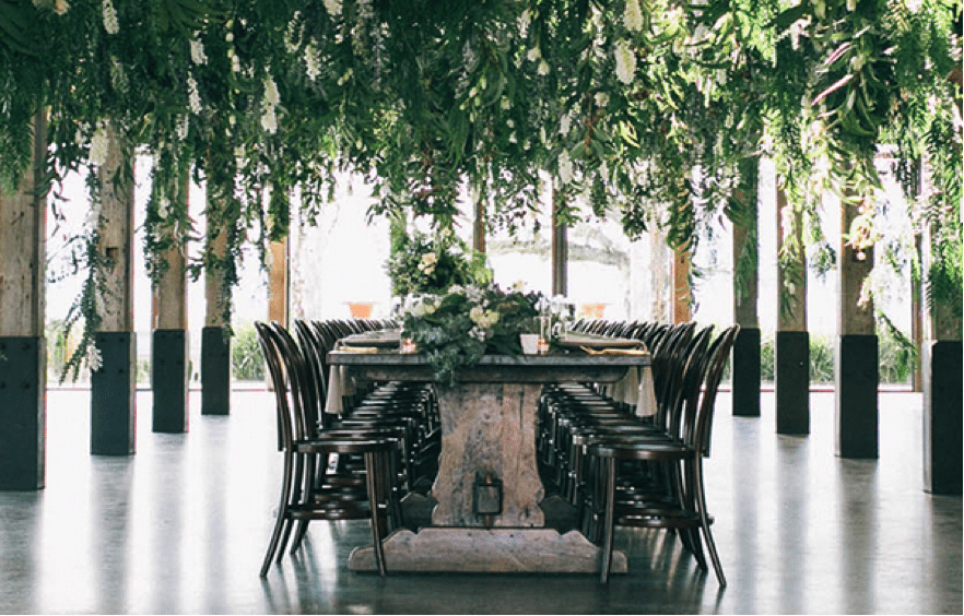 Stunning hanging vines from ceiling over dining table